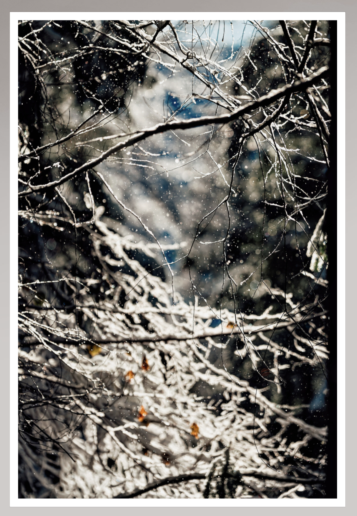 Tableau Sous Verre et Forex
