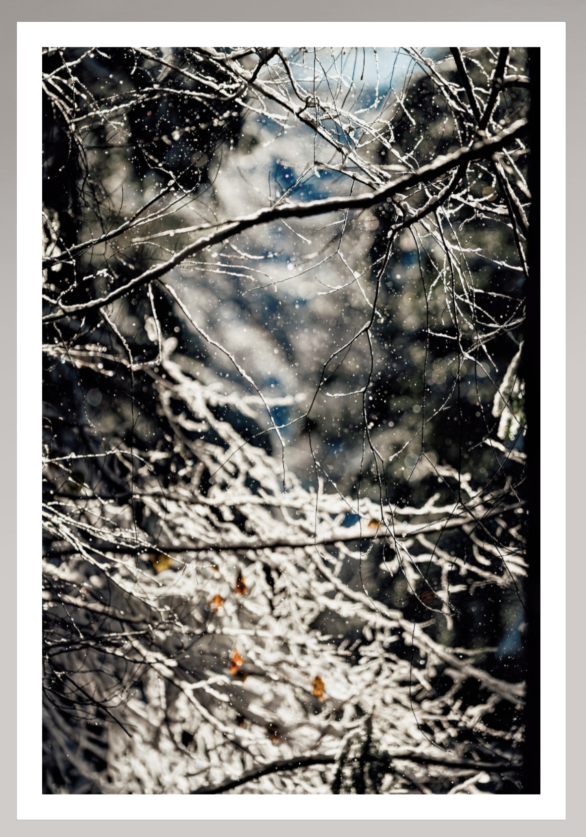 Tableau Sous Verre et Forex