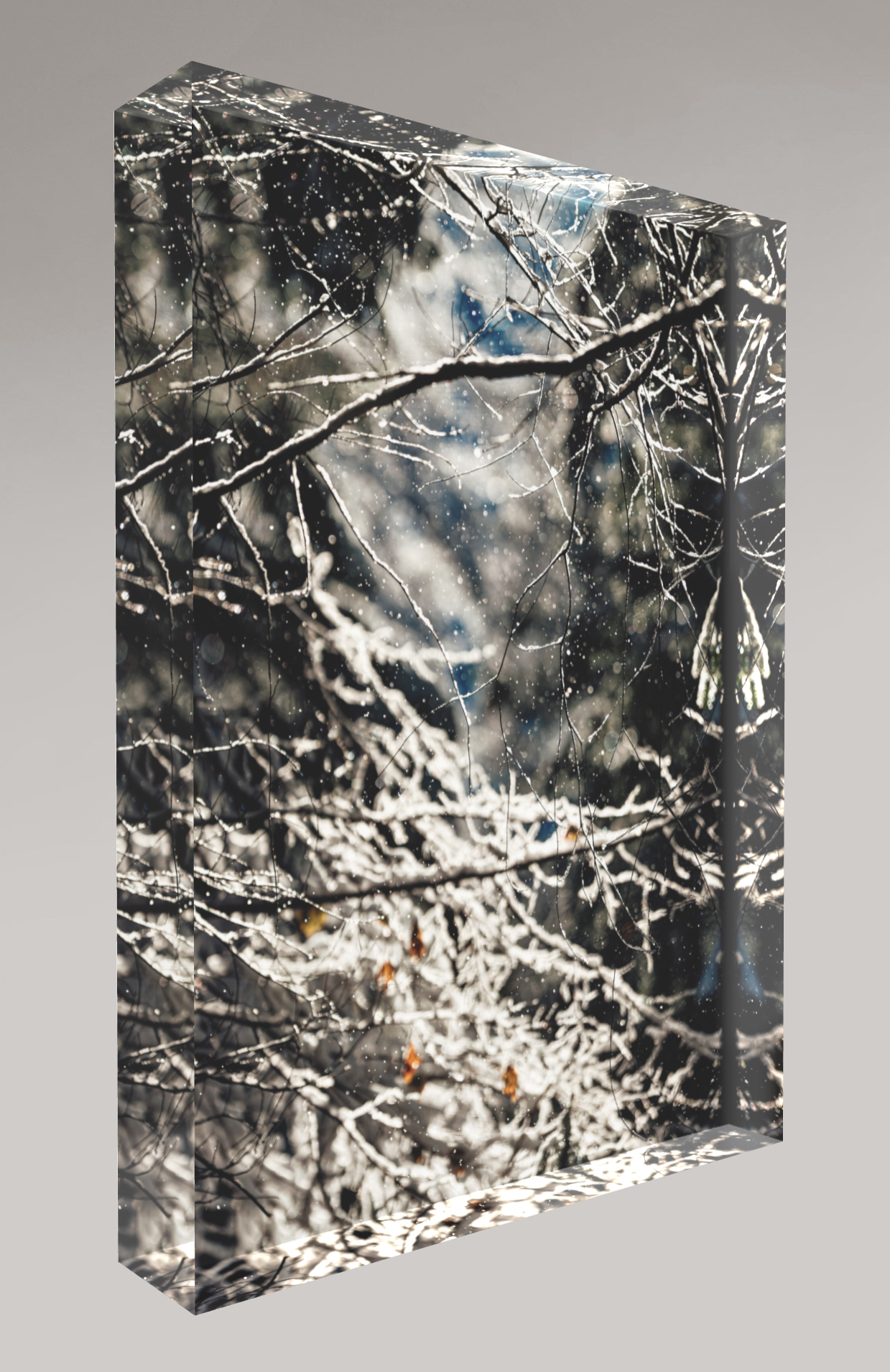 Bloc photo Plexi