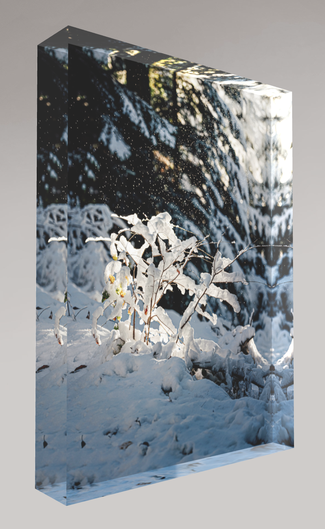 Bloc photo Plexi
