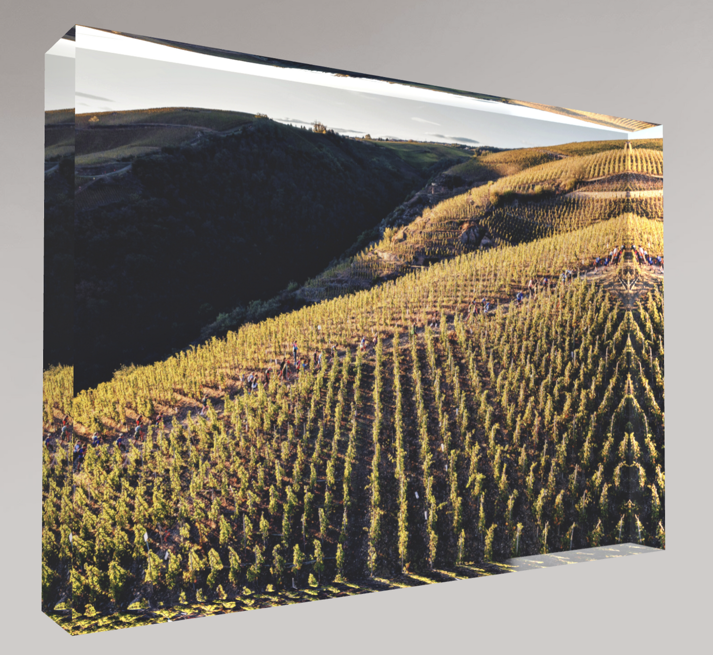 Bloc photo Plexi