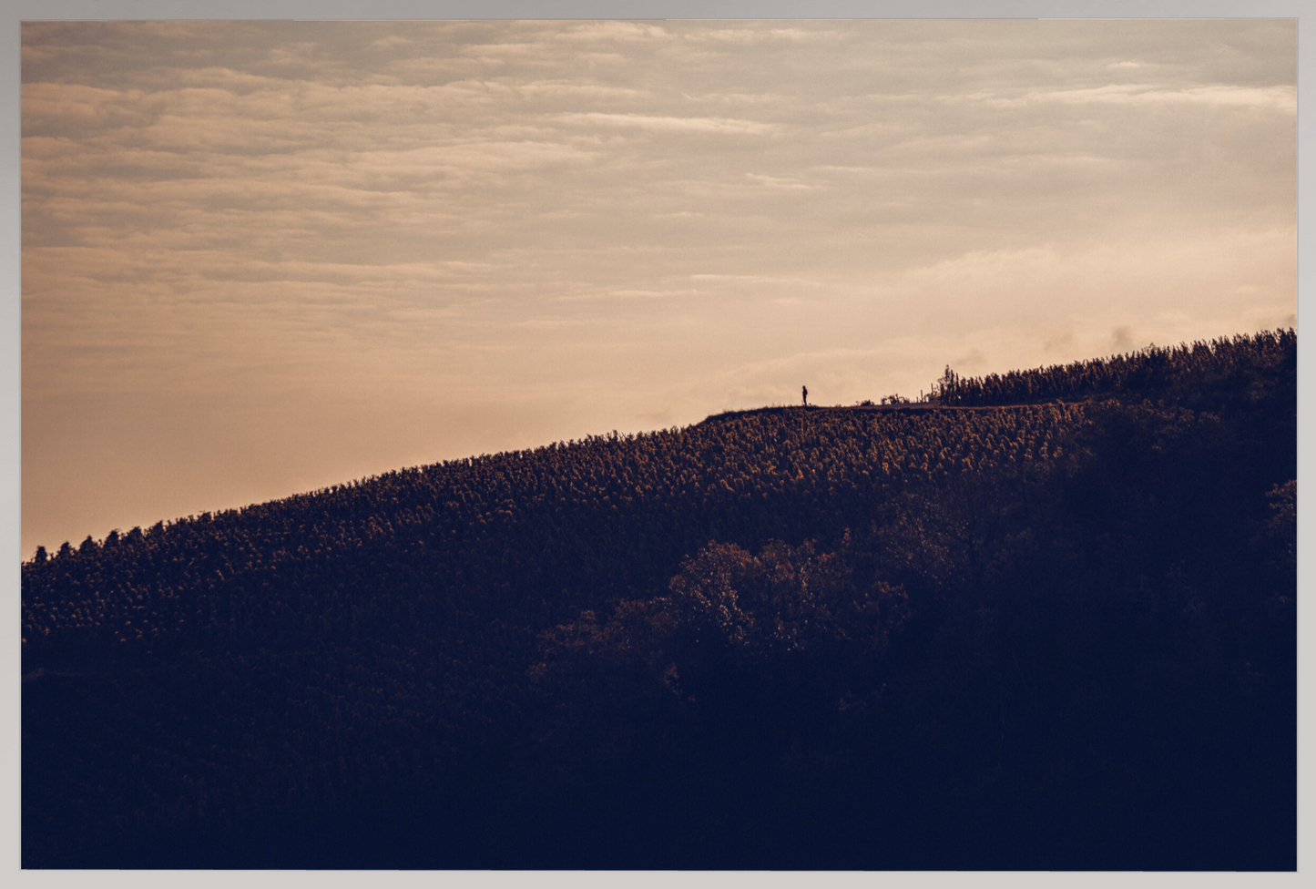 Toile Photo