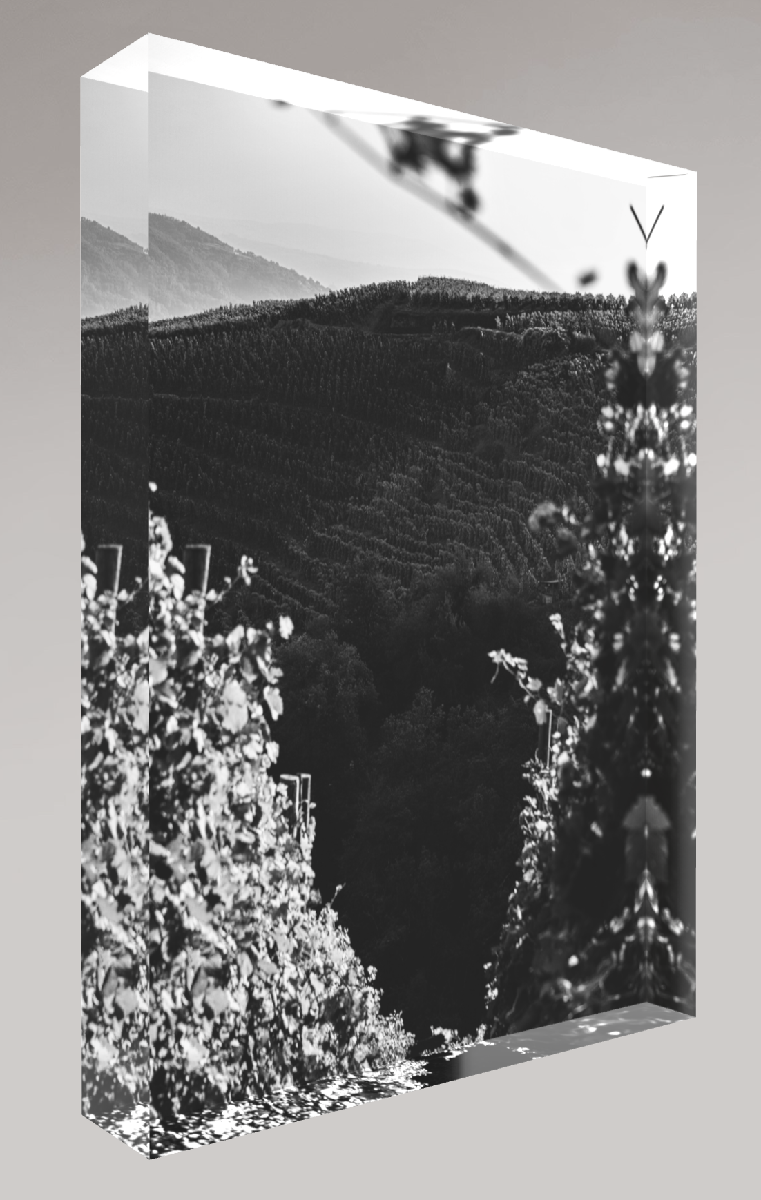 Bloc photo Plexi