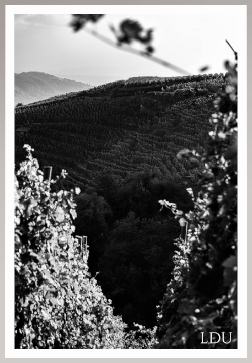 Tableau Sous Verre et Forex