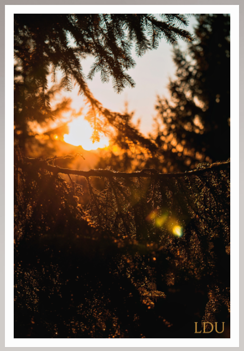 Tableau Sous Verre et Forex