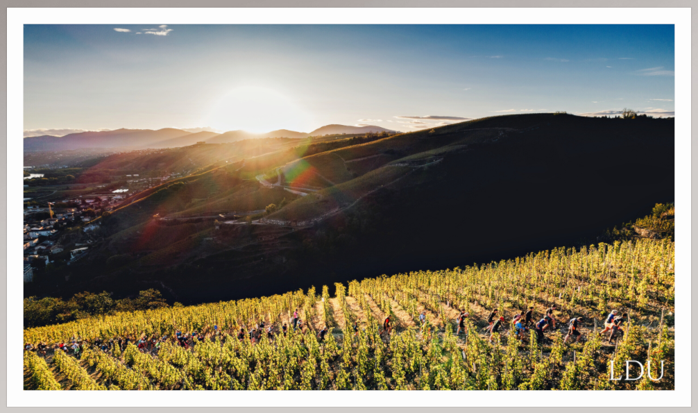 Tableau Sous Verre et Forex