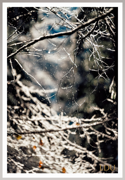 Tableau Sous Verre et Forex