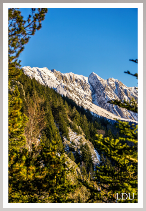 Tableau Sous Verre et Forex