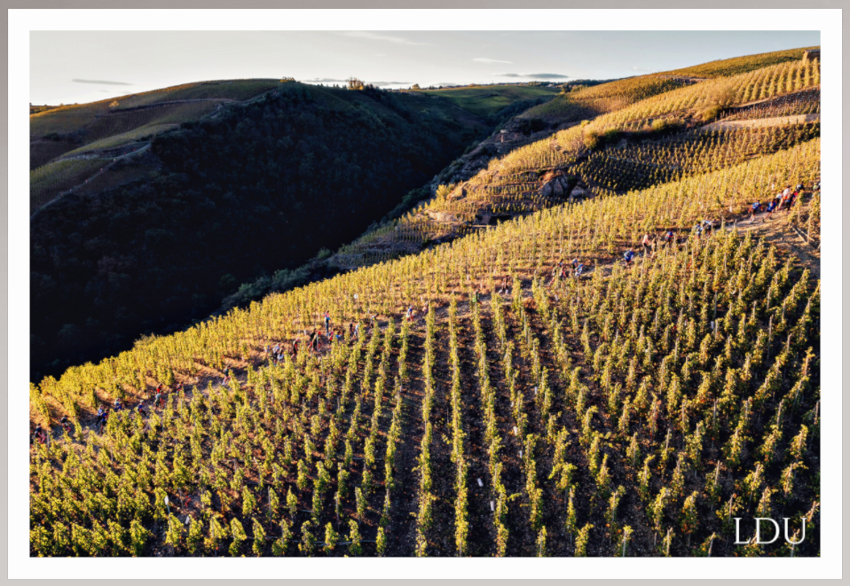 Tableau Sous Verre et Forex