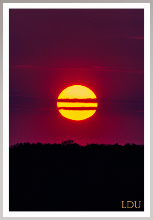 Tableau Sous Verre et Forex