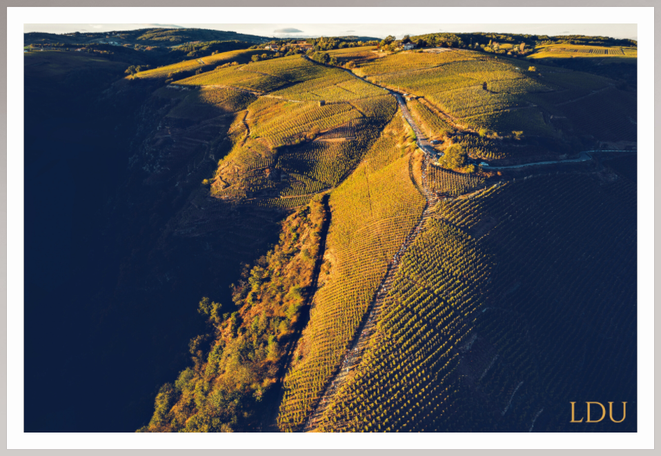 Tableau Sous Verre et Forex