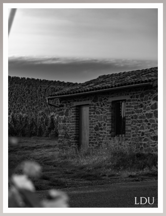 Tableau Sous Verre et Forex