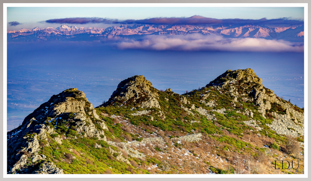 Tableau Sous Verre et Forex