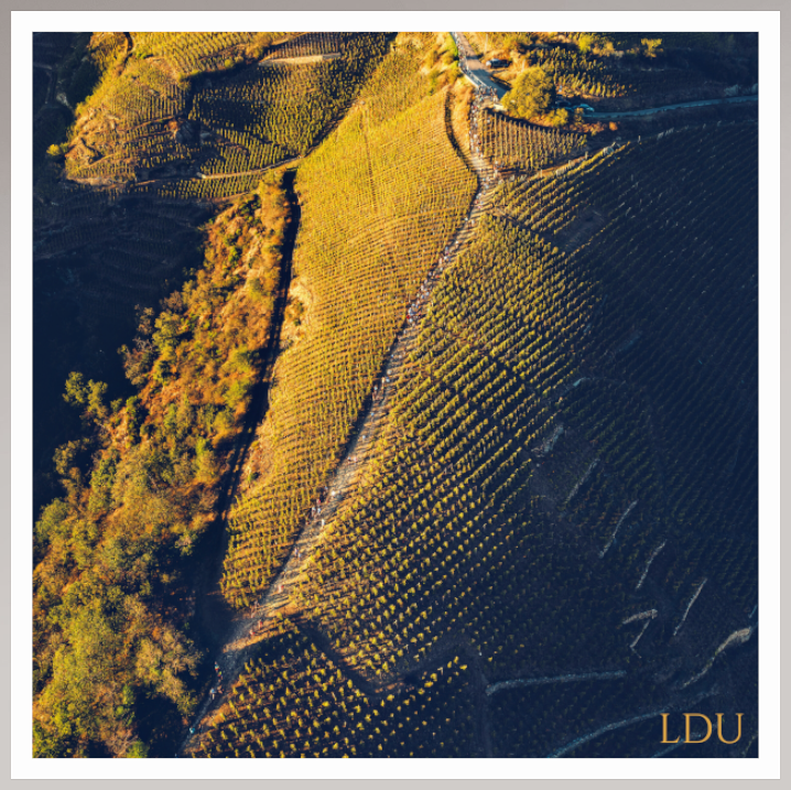 Tableau Sous Verre et Forex