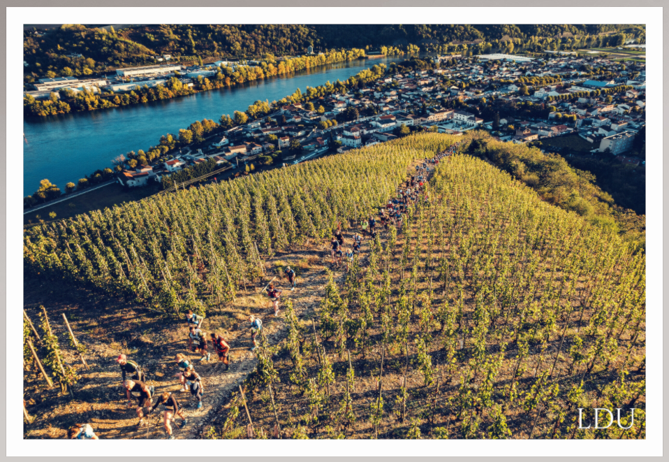 Tableau Sous Verre et Forex