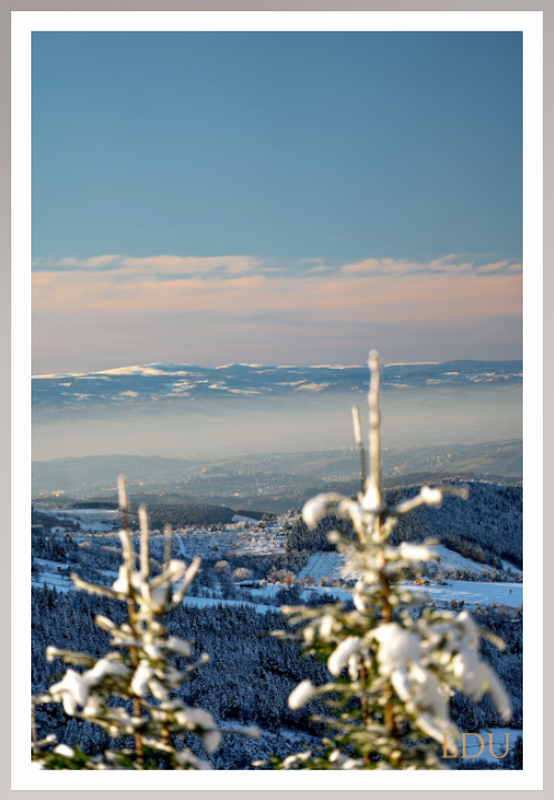 Tableau Sous Verre et Forex