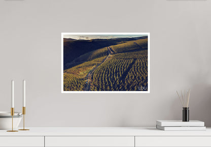 Tableau Sous Verre et Forex