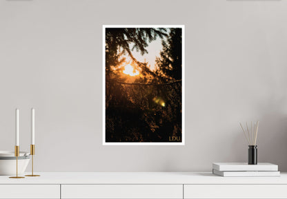 Tableau Sous Verre et Forex