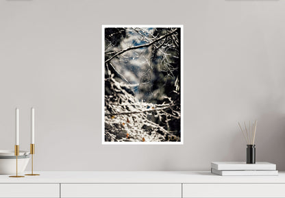 Tableau Sous Verre et Forex