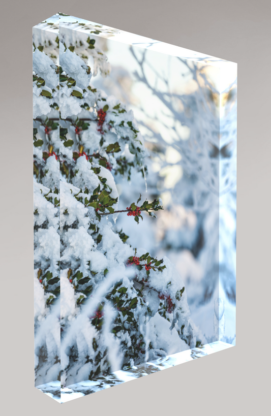 Bloc photo Plexi