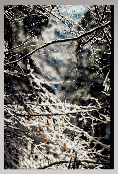 Toile Photo