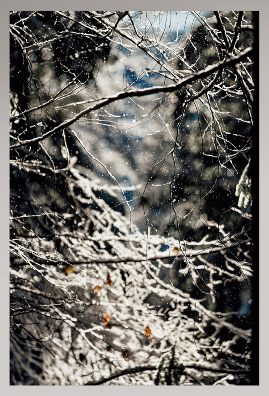Toile Photo