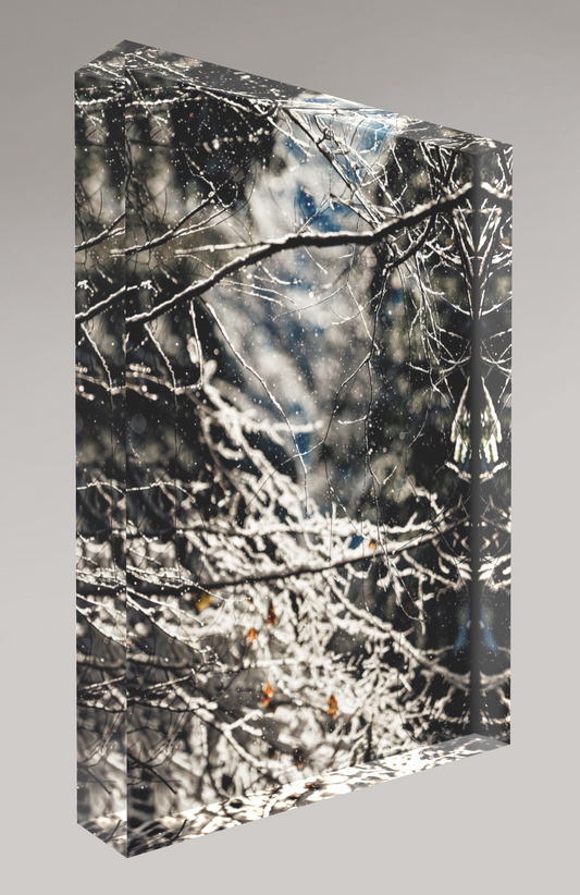 Bloc photo Plexi
