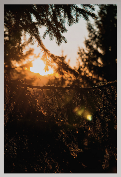 Toile Photo