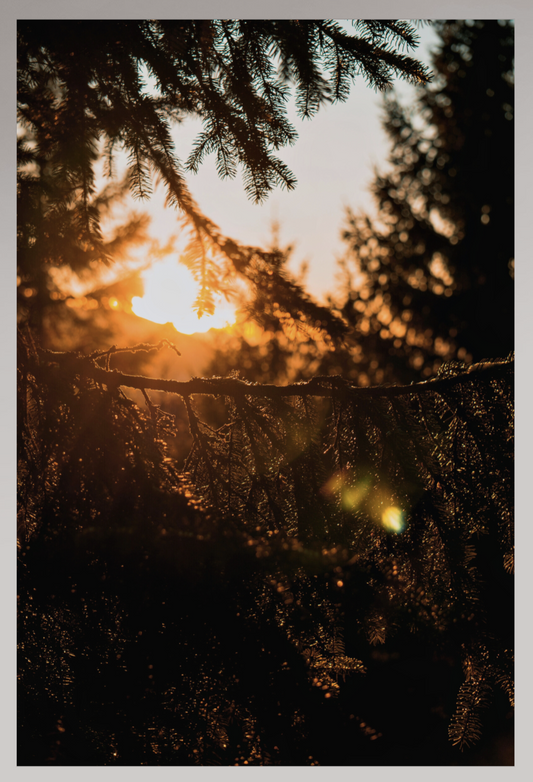 Toile Photo