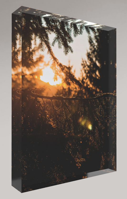 Bloc photo Plexi