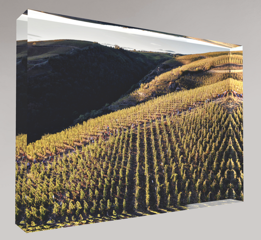Bloc photo Plexi