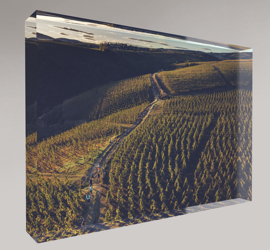 Bloc photo Plexi