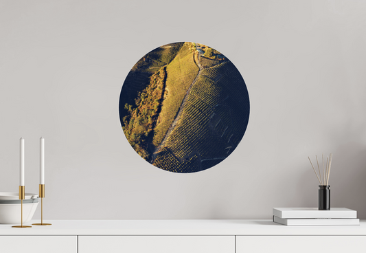Format rond et formes