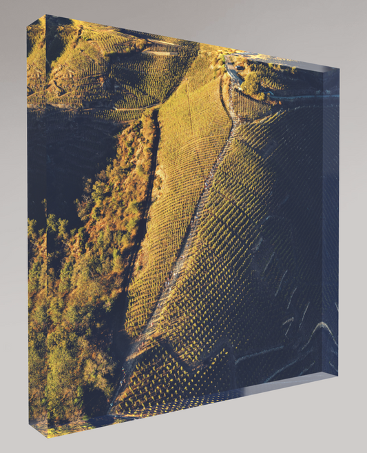 Bloc photo Plexi