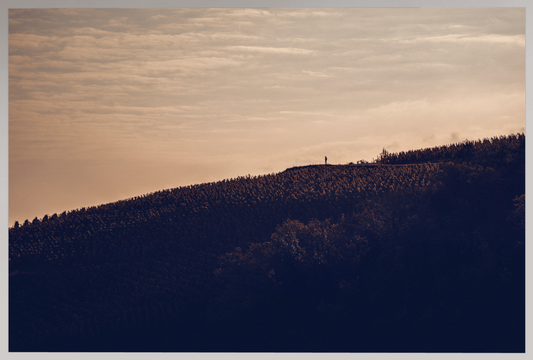 Toile Photo