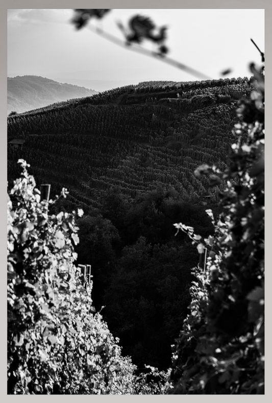 Toile Photo