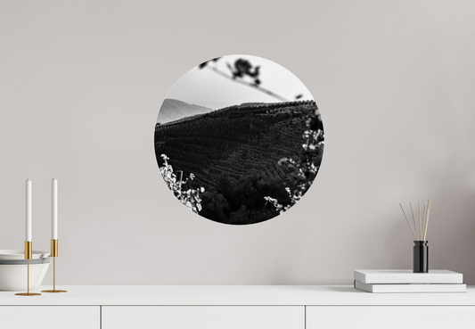 Format rond et formes