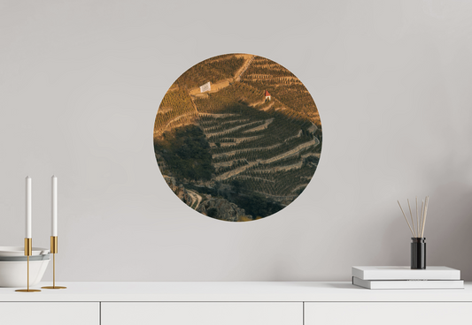 Format rond et formes