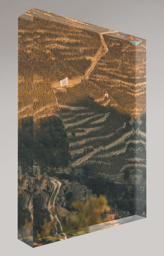 Bloc photo Plexi