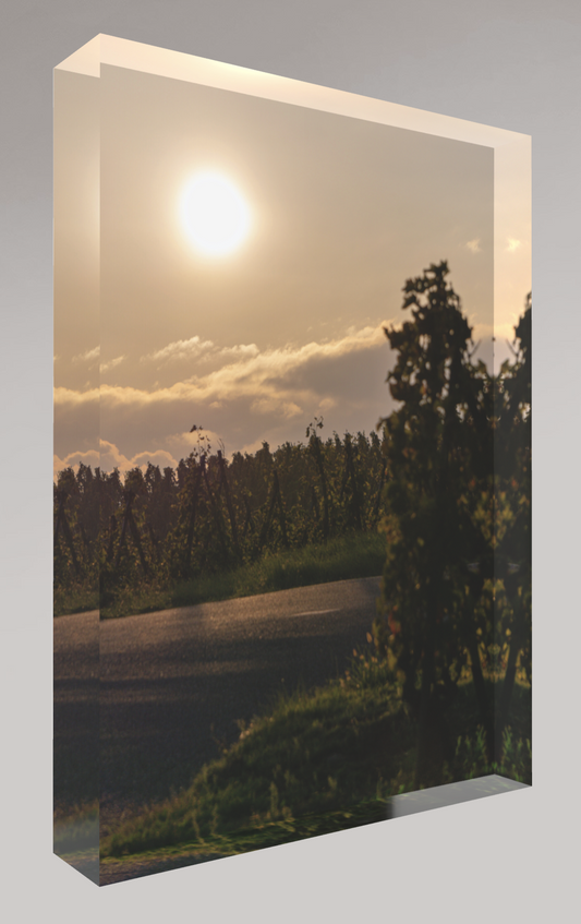 Bloc photo Plexi