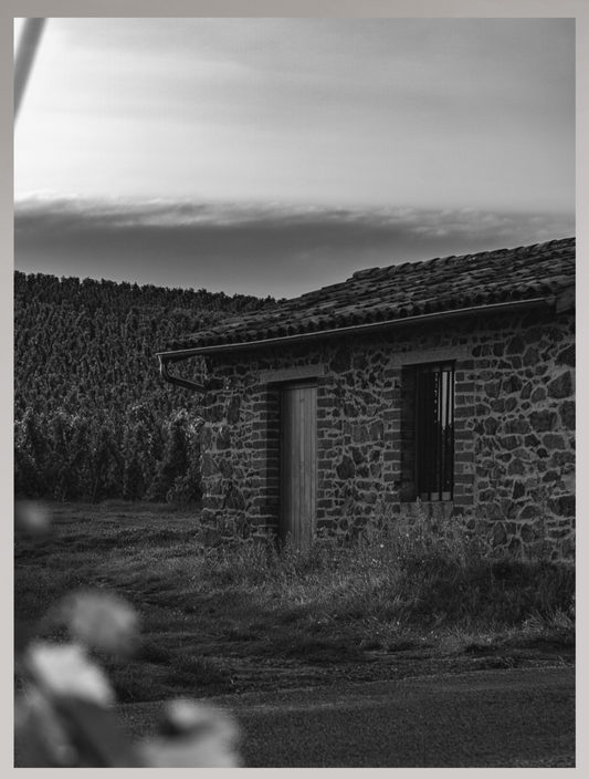 Toile Photo
