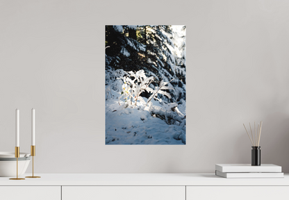 Toile Photo