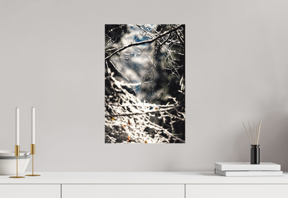 Toile Photo