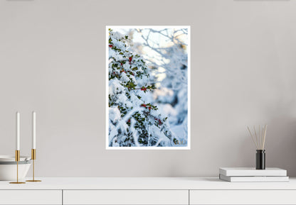 Tableau Sous Verre et Forex