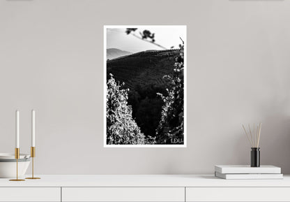 Tableau Sous Verre et Forex