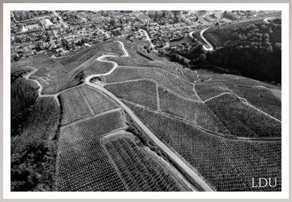 Tableau Sous Verre et Forex