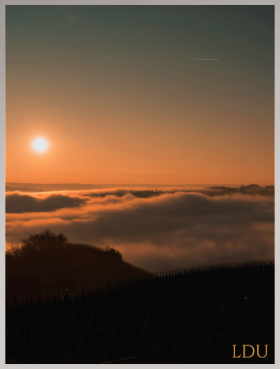 Tableau Sous Verre et Forex