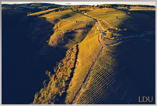 Tableau Sous Verre et Forex