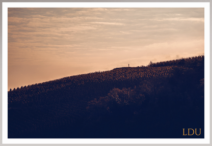 Tableau Sous Verre et Forex