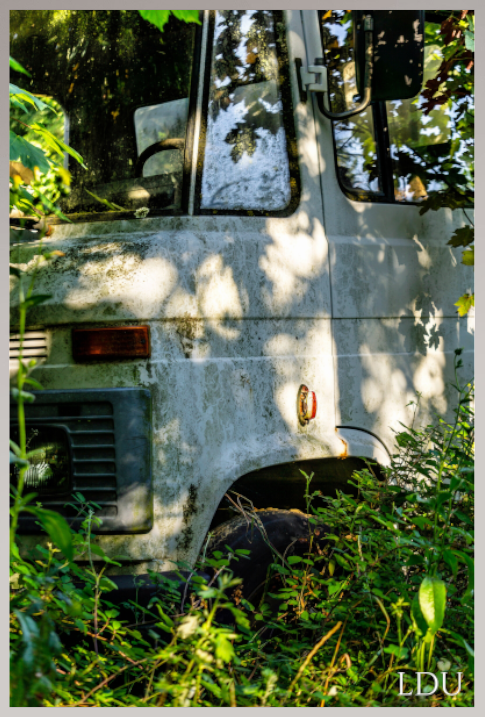Tableau Sous Verre et Forex